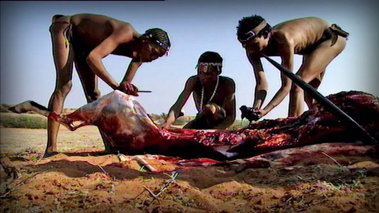 Khoisan (San) Kabilesi avlarını yemek üzere hazırlarken; Günümüz...