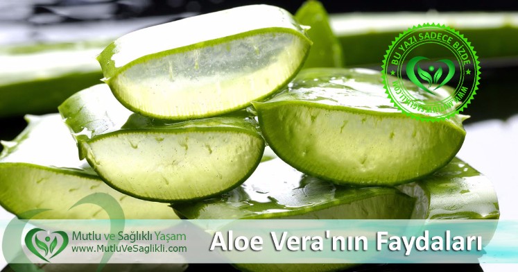 Aloe Vera'nn Faydalar: Cilde ifas, Kabzlk ve Baklk Sistemi