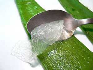 Aloe Vera Jel Ayırma