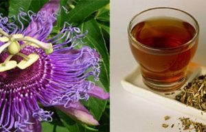 epilepsi için çarkıfelek bitkisi çayı