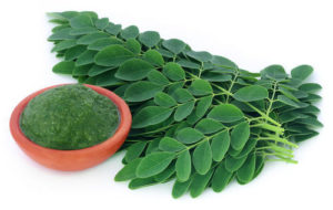 Moringa bitkisi