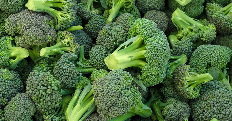 Brokoli Kansere Karşı