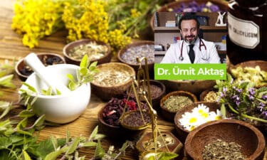 Kanser Araştırmalarının Merkezindeki Bitkiler! Hangi Kansere Hangi Bitki?
