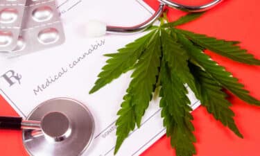 Kenevir (Marihuana) Tarafından Bilimsel Olarak Öldürülebilen 9 Tür Kanser