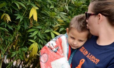 Landon Riddle Cannabis Cure StonerDays 7 kopya