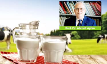 Süt Alerjendir! Çocuklarınıza Yoğurt, Kefir Verin Ama Süt İçirmeyin