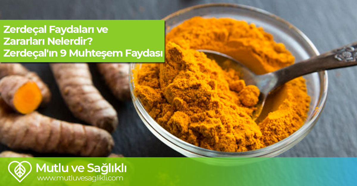 Zerdaçalın Sağlığa 10 Faydası | Anadolu Sağlık Merkezi