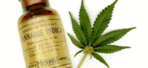 Marihuana yaprağı ve yağı