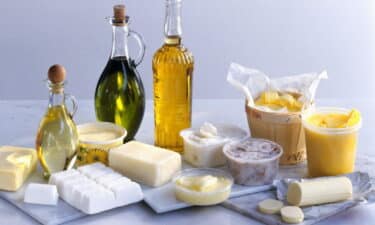 Diyetlerde Yağ Grubu