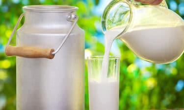 Günde 2 Bardak Süt Kadınlarda Kemik Kırığıyla Ölüm Riskini %21 Artıyor