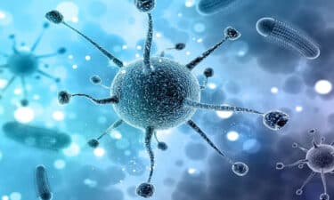 ikinci beyin bağırsak