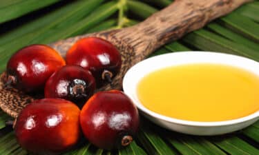 Palmiye Yağı Hakkında Bilinmesi Gerekenler