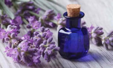 Lavanta Yağı mavi şişe