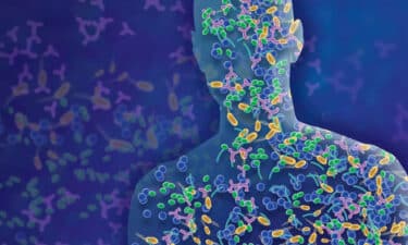 Mikrobiyota Nedir? Faydaları ve Bilimsel Yönü