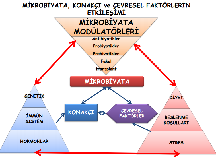 Mikrobiyota tarihçesi