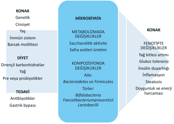 Mikrobiyota tarihçesi