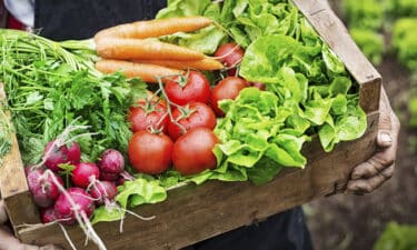 Doğal Beslenme (Organik Beslenme) ile Sağlıklı Yaşam