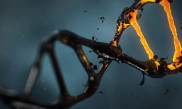 DNA hasarı ve kanser