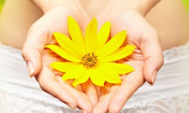Endometriozis ve Kanser