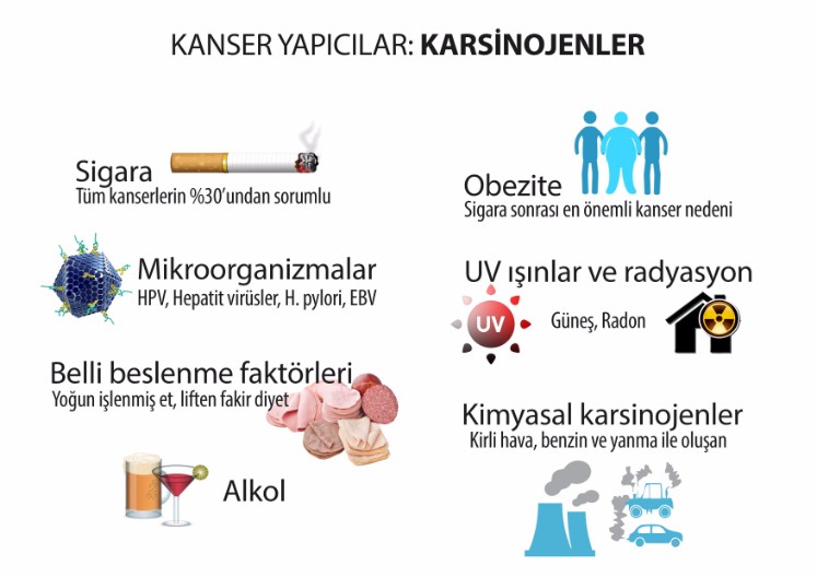 Kanser yapıcı karsinojenler