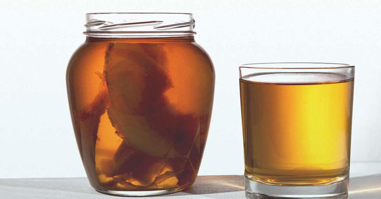 Kombucha çayı faydaları