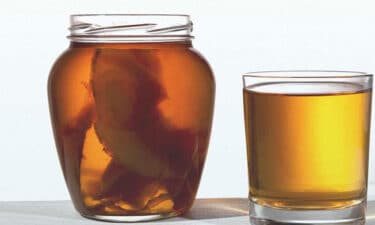 Kombucha çayı faydaları