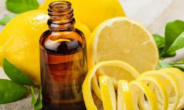 Limon yağı şişede ve kesik taze limonlar