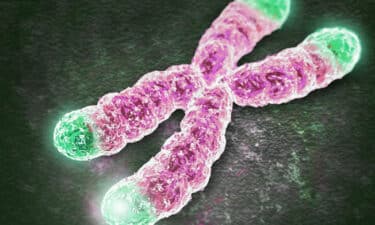 Telomer ve Kanser İlişkisi - Telomer Nedir? Telomer Kısalmasını Neler Tetikler?