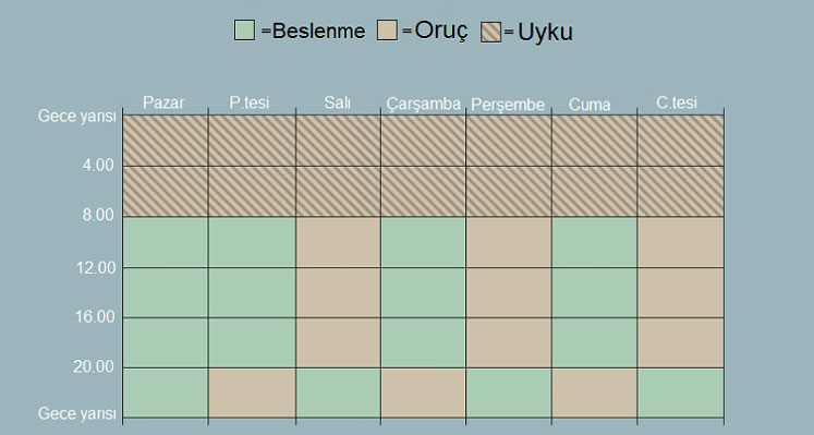 intermittent fasting aralikli oruc alternatif sistem