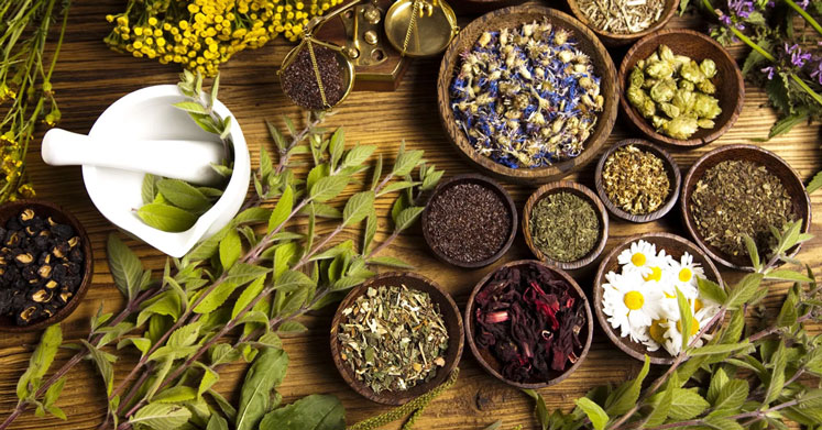 ayurveda nedir