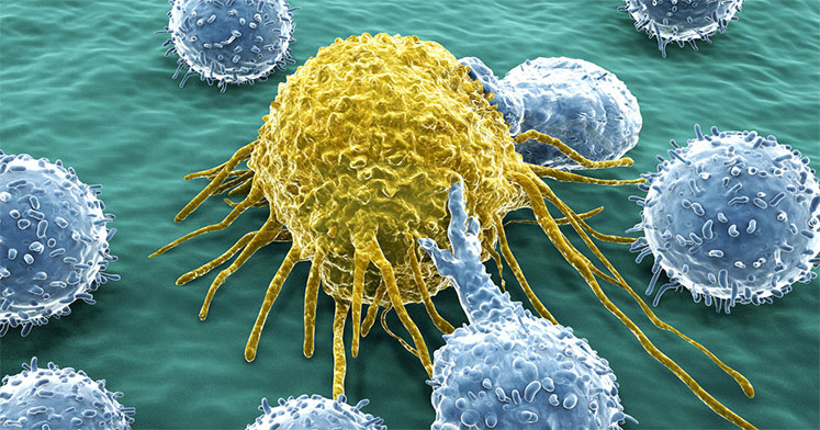 Biyolojik Kanser Terapileri