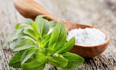 Stevia Bitkisi Nedir? Stevia Çeşitleri, Kullanımı, Faydaları ve Yan Etkileri