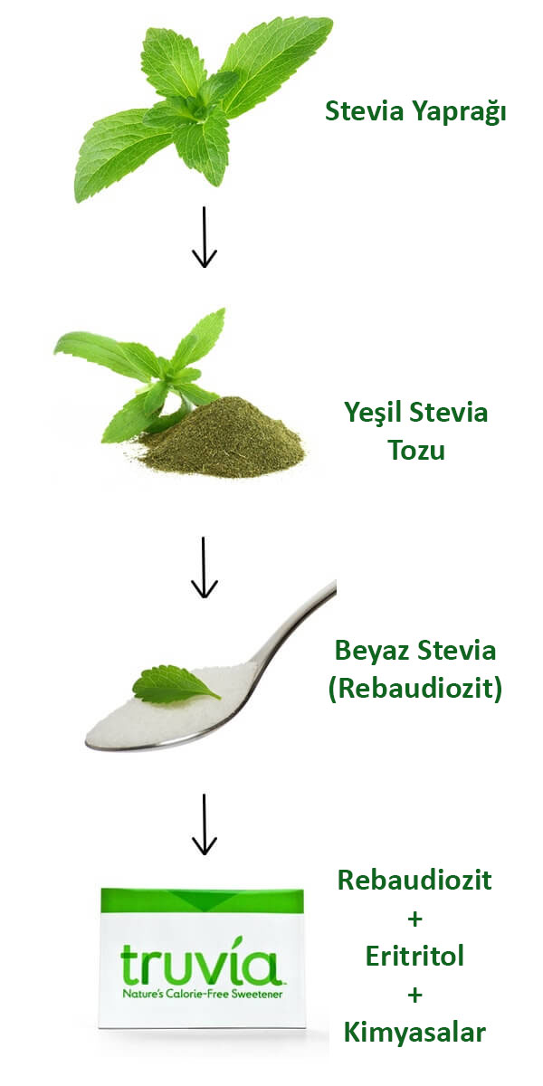 Stevia Bitkisi işlenme süreçleri
