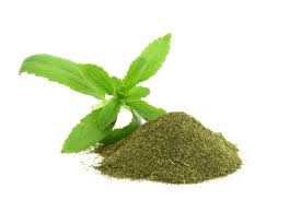 Stevia Bitkisi Yeşil Toz