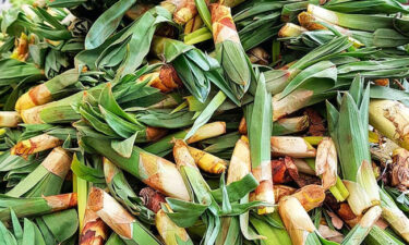 çiriş otu nedir? faydaları nelerdir?