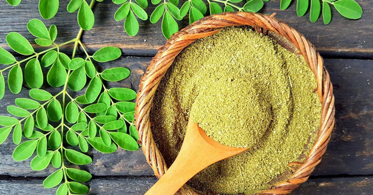 Moringa bitkisi toz olarak hasır içerisinde