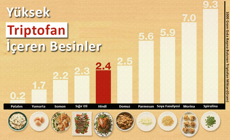 Triptofan İçeren Besinler Grafiği