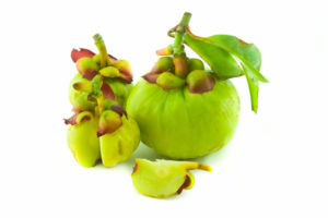 Garcinia cambogia ile bağırsak temizliği