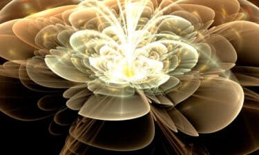 İlâhi Çiçeğin Bilgeliği