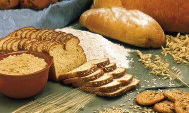 Gluten Intoleransı Belirtileri ve Tedavi Yöntemleri
