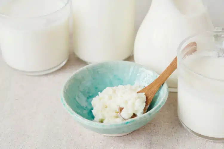 Kefir Nedir? Kefirin Faydaları ve Kefir Nasıl Yapılır?