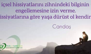 içsel hissiyat