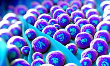 Hastane Enfeksiyonu (MRSA) Nedir? Belirtileri, Nedenleri ve Tedavisi