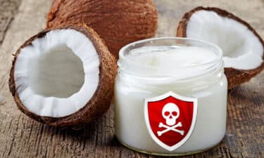 Hindistan Cevizi Yağı Saf Zehir Mi? Hindistan Cevizi Yağı Tartışması