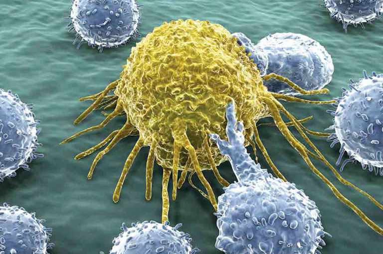 Kanser Nedir? Sık Rastlanan Kanser Türleri Nelerdir?