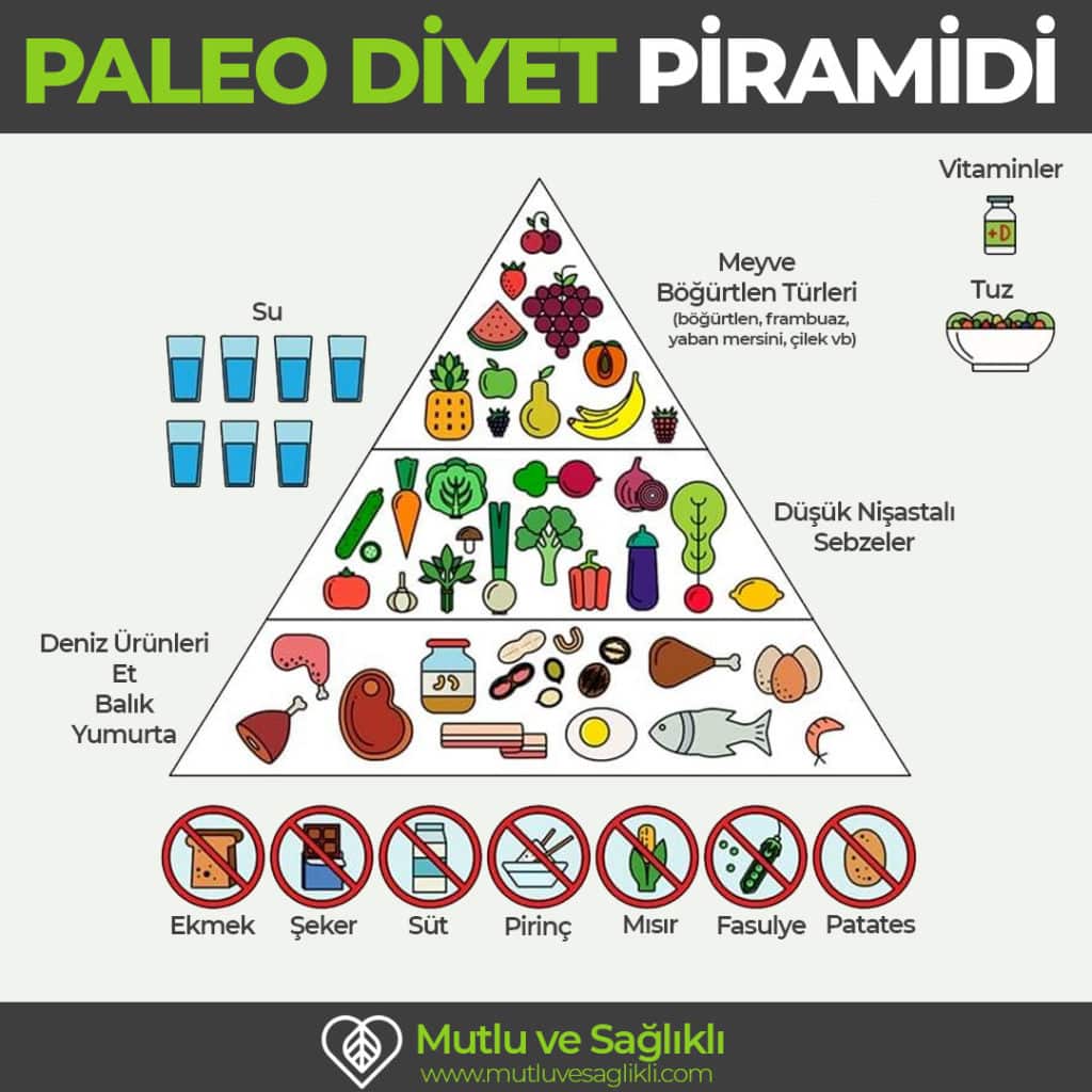 Paleo Diyet