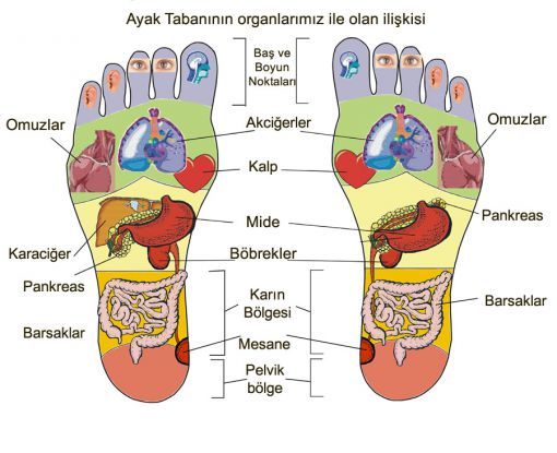 Baş ağrısı refleksoloji