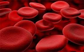 B vitaminleri kan hücresi