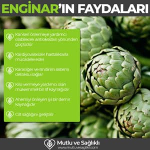 enginarın faydaları