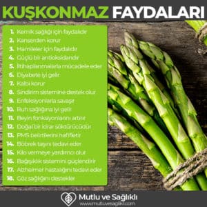 kuşkonmaz ayrellinin faydaları